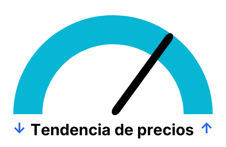 Tendencia del precio del gas en España